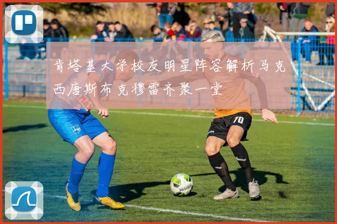 肯塔基大学校友明星阵容解析马克西唐斯布克穆雷齐聚一堂